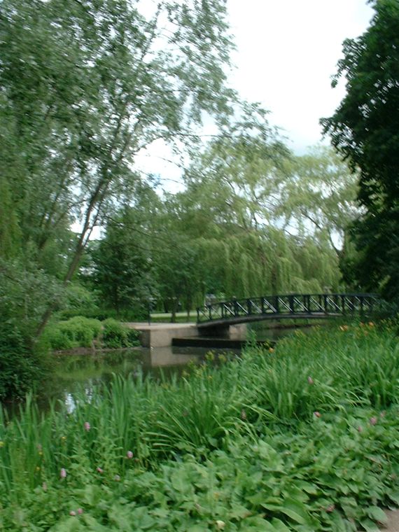 bridge across the lake