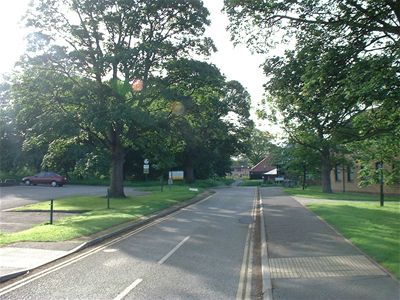 road heading towards vanbrugh college