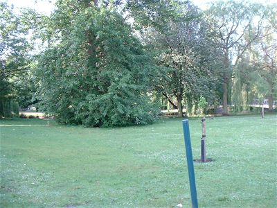 looking towards the lake