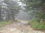 The Blue Ridge Parkway