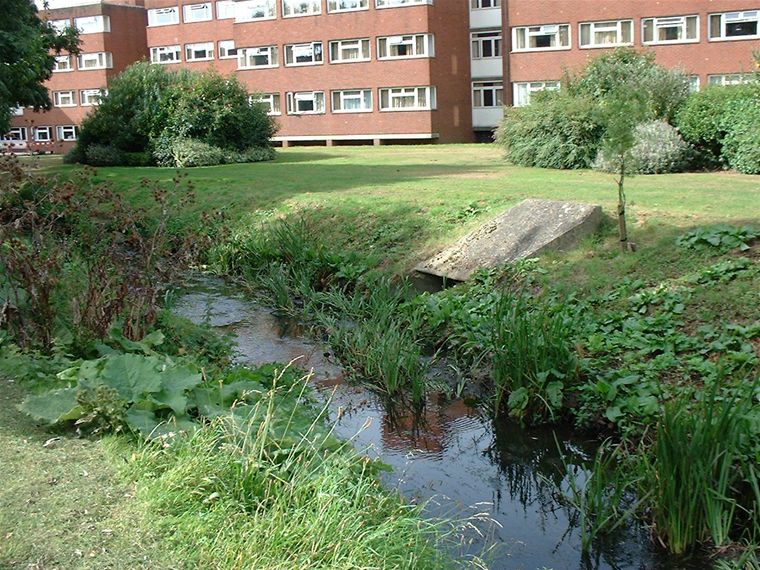 the "river"