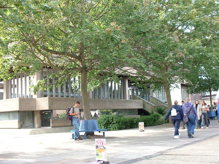 the library hidden behind the trees