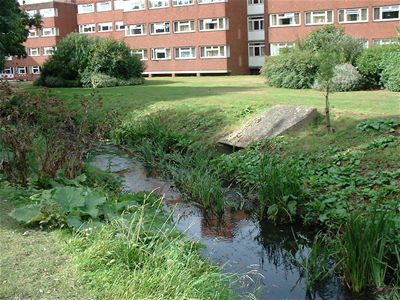 the "river"