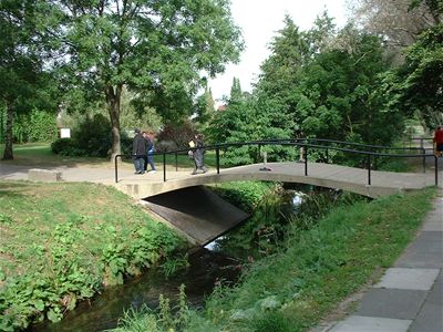 the bridge