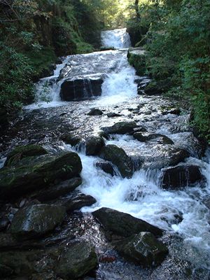 Watersmeet