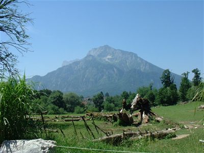 The view from the rhino's back yard