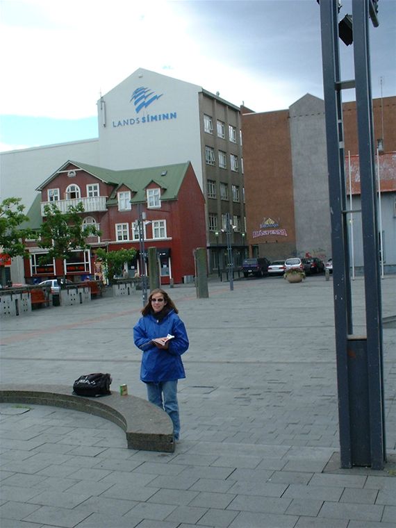 Austurv�llur Square