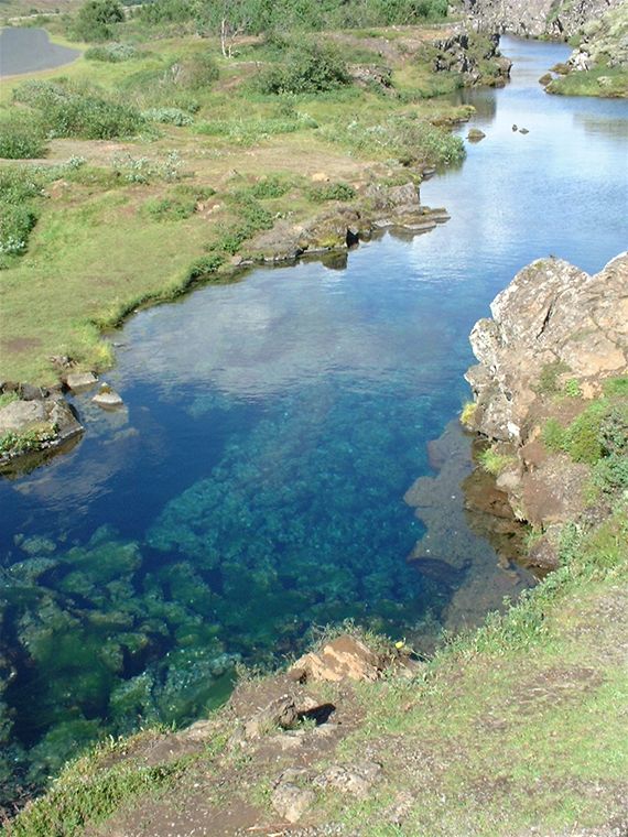 The Wishing Pool