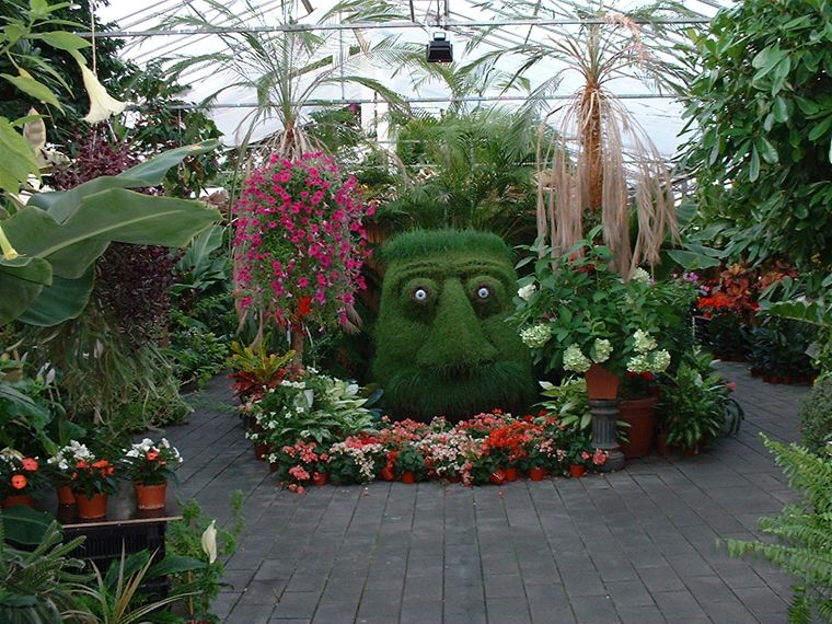 Albert Einstein, geothermally grown at the Eden centre