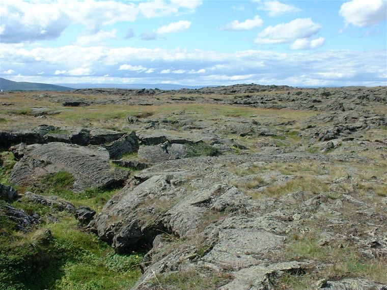 Lava fields at Reykjahli�