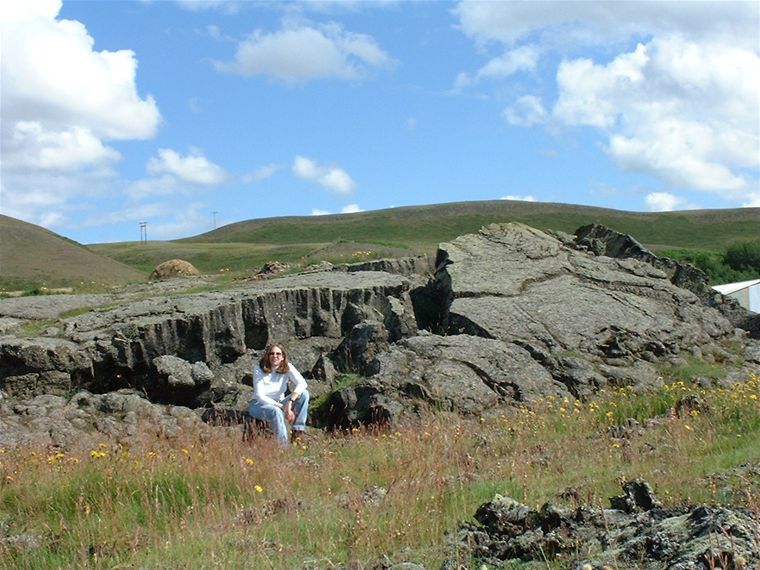 Lava fields at Reykjahli�