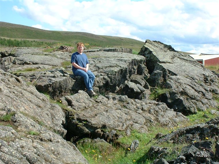 Lava fields at Reykjahli�