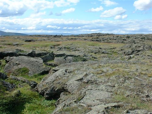Lava fields at Reykjahli�