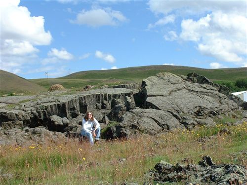 Lava fields at Reykjahli�