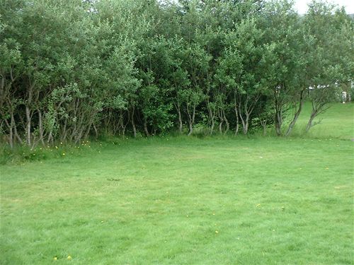 Our camping spot in Selfoss