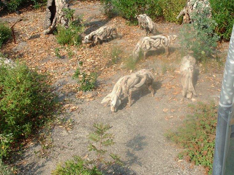 Wooden Pigs