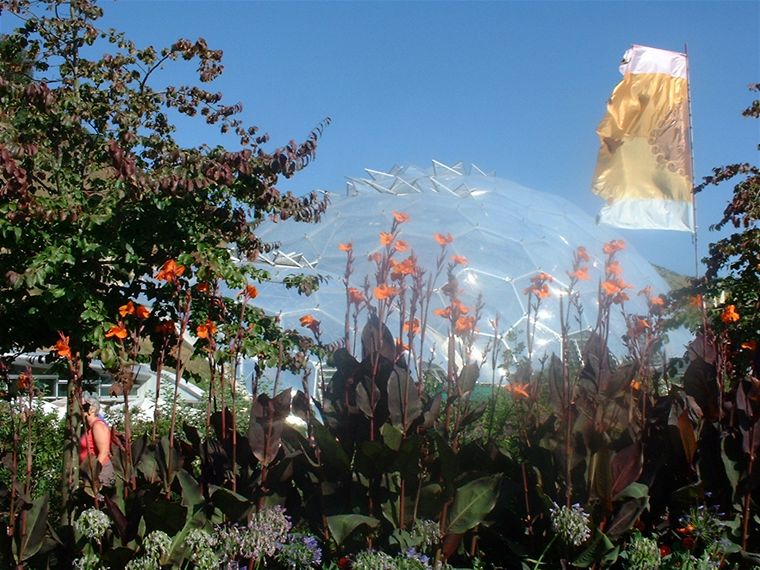 Outside the Temperate Biome