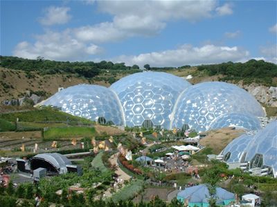 The Tropical Biome