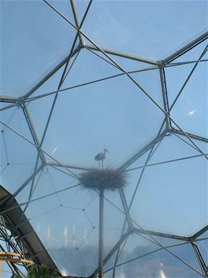 The Warm-Temperate Biome