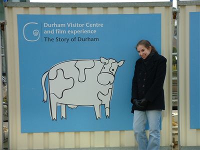 Cows 'n' vikings 'n' stuff