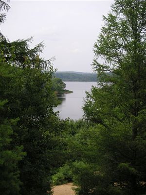 Something or other State Park