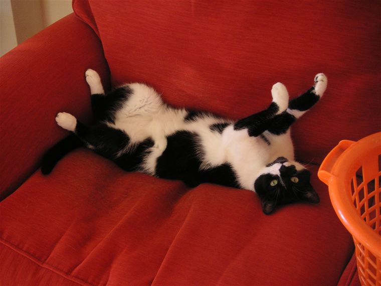 Dylan lying in a very odd position