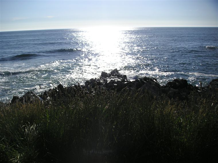 The sea looking pretty and blue