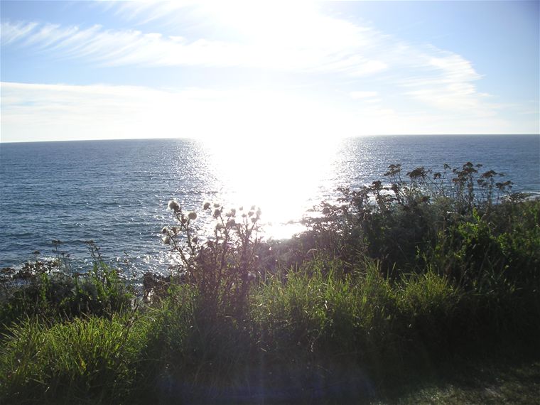 Looking out to sea