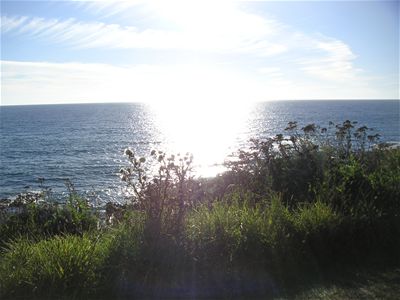 Looking out to sea