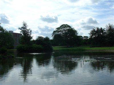 the top of the lake beyond derwent college