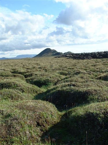 Old lava fields that have grassed over