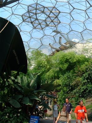 Inside the Tropical Biome