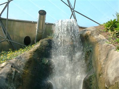 The waterfall at the top of the Tropical Biome