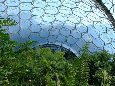 The Biome Roof